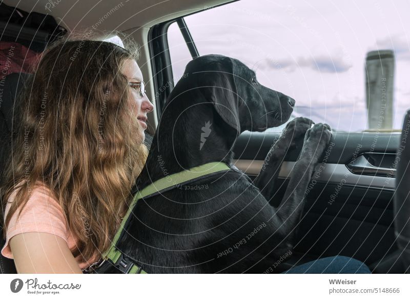 The girl and the dog look out of the car window: When will we finally reach our destination? Driving Car Girl Dog passenger voyage holidays vacation go away