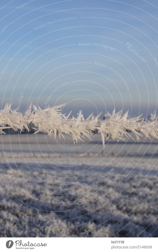Winter dream with barbed wire Frost Landscape winter landscape Beautiful weather Hoar frost rime ice crystals bizarre shapes Raueis sharpen Crystal structure