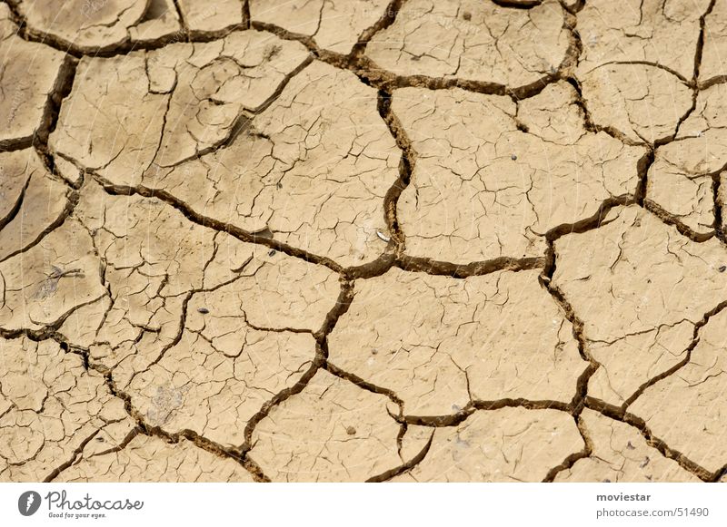 Image of Cracked mud puddle in a parched field