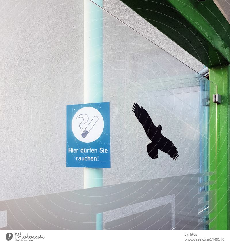 ATTENTION Nicotine Addicted Birds | Smoking Zone with Bird Warning smoking area Clue stickers Shelter shelter sign Signage Signs and labeling Warning sign