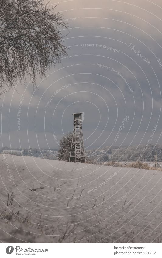 High seat in a winter landscape Winter Snow Tree Cold Landscape Frost Nature White Exterior shot Forest Weather Climate Snowscape Snow layer Winter walk