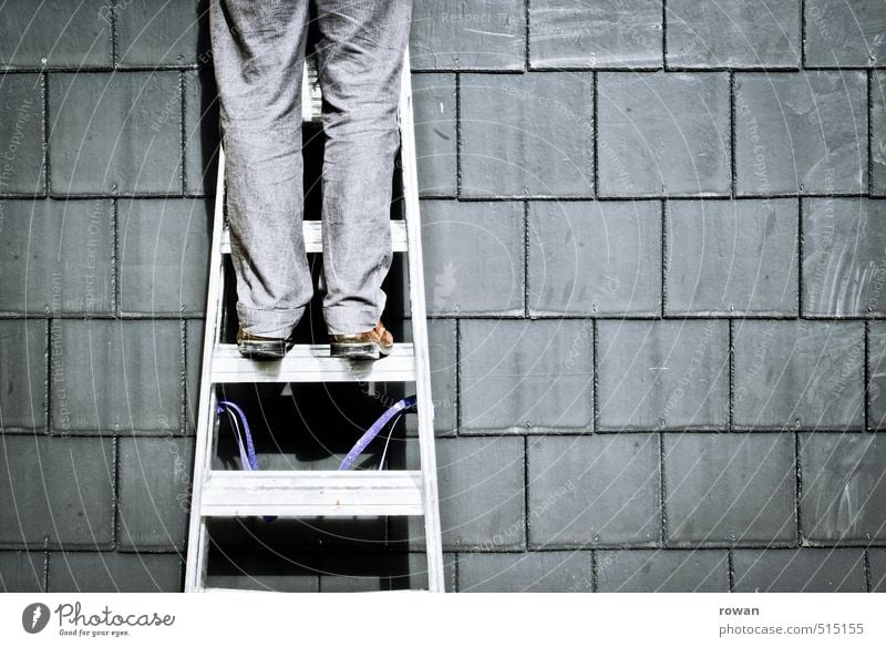 climber Human being Masculine Young man Youth (Young adults) Gray Ladder Go up Climbing Roof Repair Craftsperson Upward Rung Wall (building) Construction worker