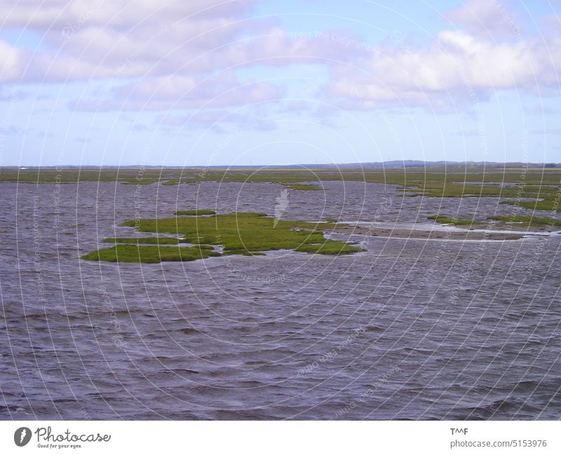 Dänemark Nordwest Jütland – Das Meer mit kleinen grünen Inseln Nordsee Fjord Nordseeküste Wasser Wellen Himmel Wolke Wolken Grasinseln Inselchen Küste windig