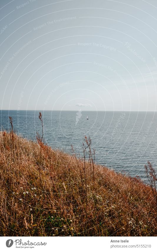 View of the sea on a summer day, the Baltic Sea in Sweden, with a small sailboat from an overgrown coast. The weather is beautiful, the sky is blue. Ocean