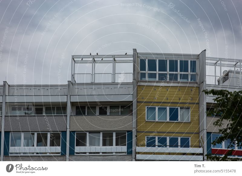 GDR prefabricated building Berlin Prefab construction Colour photo Window House (Residential Structure) Facade Architecture Building High-rise Town Deserted