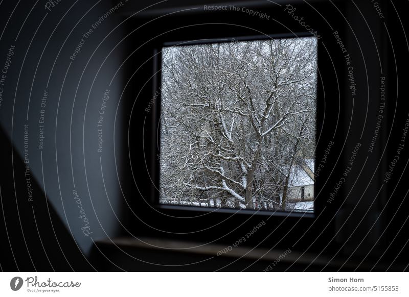 Snow outside the window Window Vantage point Village framed outlook Observe Winter Cold Heating House (Residential Structure) Winter mood winter chill