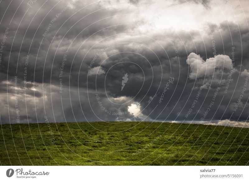 green meadow and dramatic cloudy sky Meadow Green Sky Horizon Clouds Storm Dramatic Landscape Nature somber Threat Storm clouds Bad weather Weather Contrast