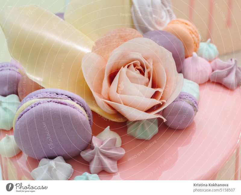Modern French mousse cake with pink mirror glaze decorated with macarons, roses and merengues. Picture for a menu or a confectionery catalog. sweet food dessert