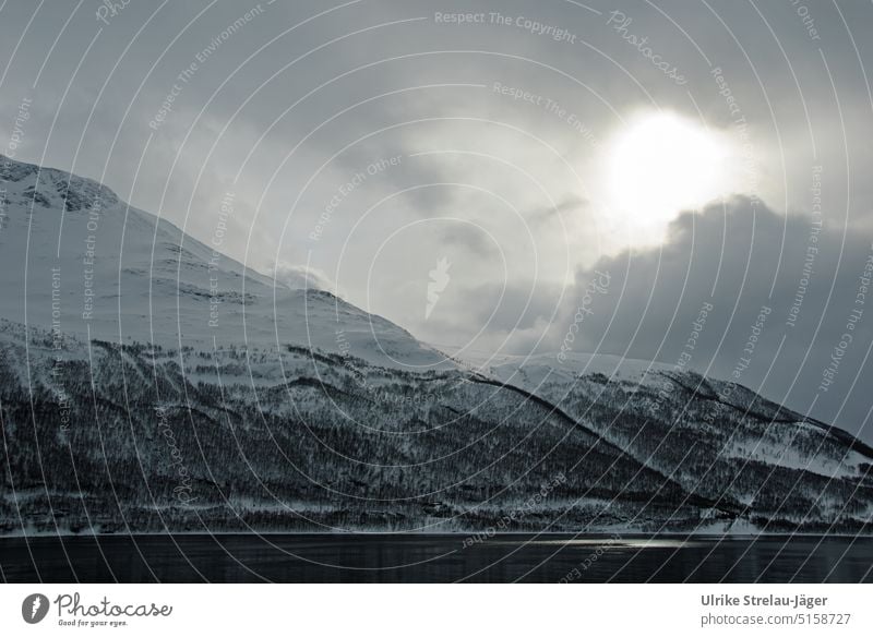 Sun behind clouds on a winter fjord with a lonely house House (Residential Structure) Winter Winter's day Fjord Slope Forest snow-covered Snow Cold Winter mood