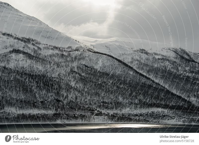 Lonely house by fjord in evening mood with snow covered mountainside, forest and sun behind clouds lonely house House (Residential Structure) Winter