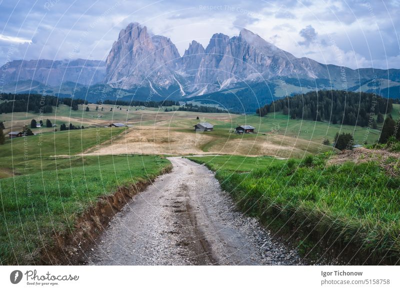 Italian Dolomiti Alps. Seiser Alm or Alpe di Siusi location, Bolzano province, South Tyrol, Italy, Europe dolomites italy morning mountains sunny siusi alpe