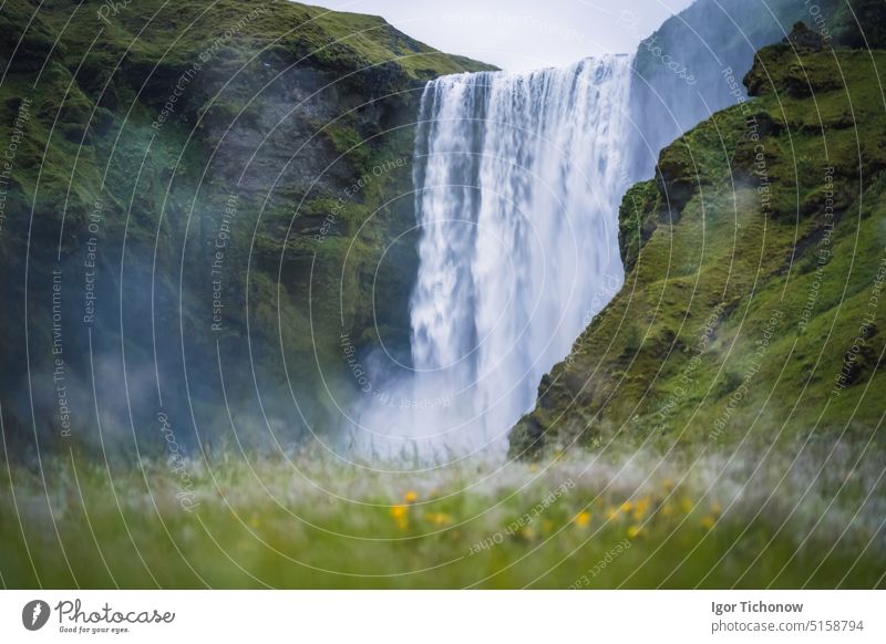 The famous Skogarfoss waterfall in the south of Iceland iceland skogarfoss scenic stream travel landscape cascade river icelandic europe nature adventure