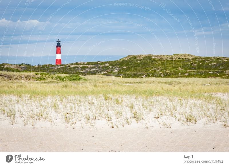 Dune with lighthouse Lighthouse duene Marram grass coast Landscape Vacation & Travel Beach Sand Nature North Sea coast dunes Denmark Relaxation Blue Horizon