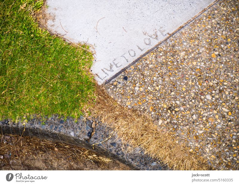 LIVE TO LOVE Sidewalk Concrete Street art Word English Creativity Capital letter Neutral Background Grass Detail Curbside Weathered Eternalized poetry