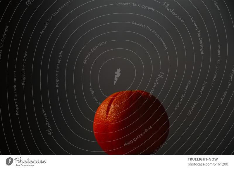 Orange skin... Orange close in dim daylight against dark background entirely Near Orange peel Fruit Tropical fruits vitamins Close-up Twilight Illuminate Colour