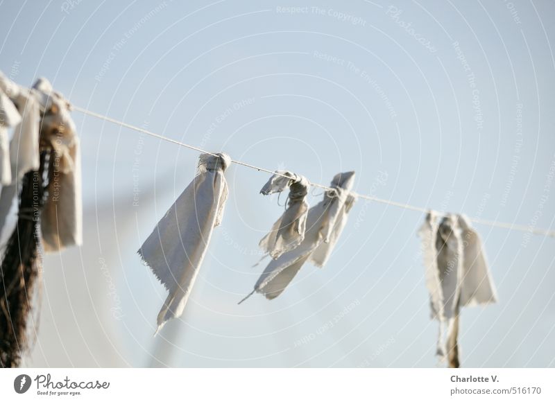 rag in the wind Decoration Hang To swing Esthetic Authentic Simple Elegant Happiness Together Bright Uniqueness Cold Broken Above Dry Soft Blue Gray White Calm