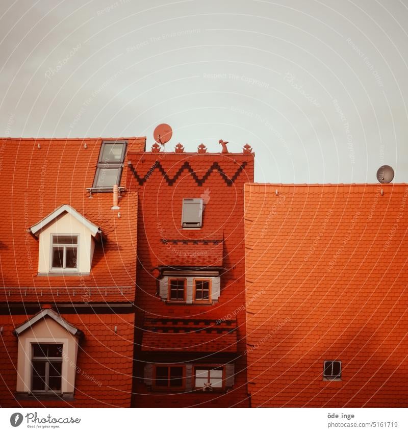 Umbrella organisation Roof roofs Tiled roof Roofing tile House (Residential Structure) Building Red Architecture Window Manmade structures Old town Skylight