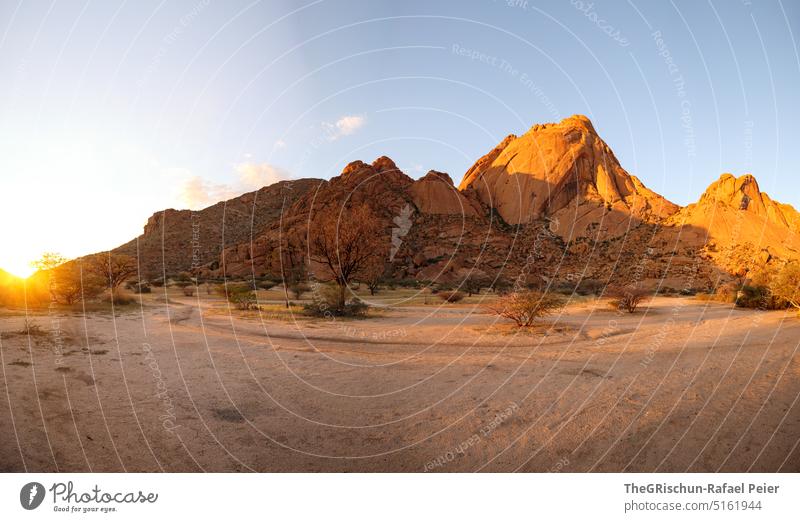 Mountain formation in golden evening light - back light Namibia Steppe Landscape Exterior shot Nature Deserted Environment Far-off places namibia road trip