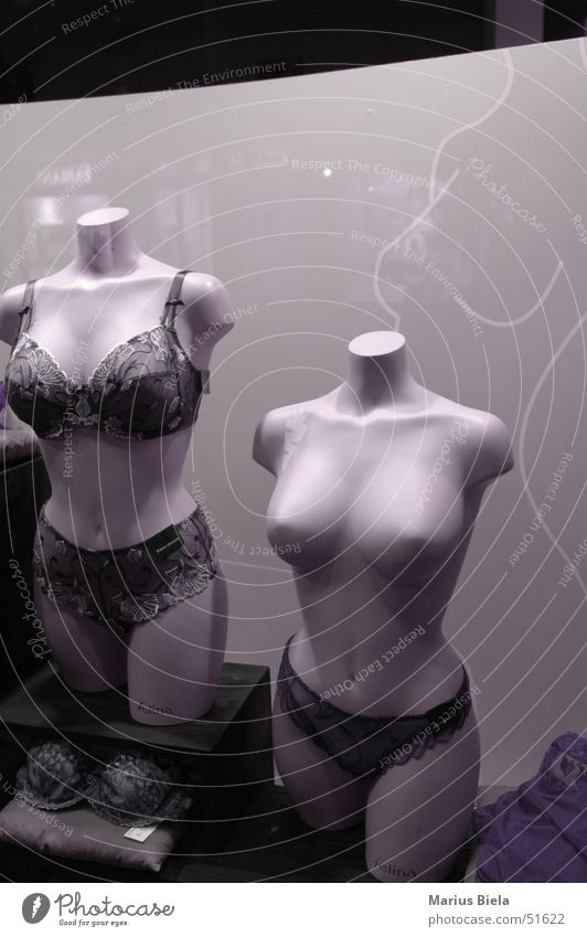 Add Representation To Your Shop Window With Wholesale Big Breast Models 