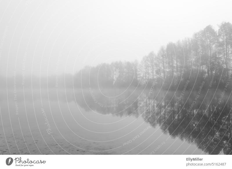 Germering lake in fog. Autumn nature at the lake. Mystical landscape. Lake Germering Fog Landscape Nature Black & white photo Water Lakeside Calm Morning Dawn