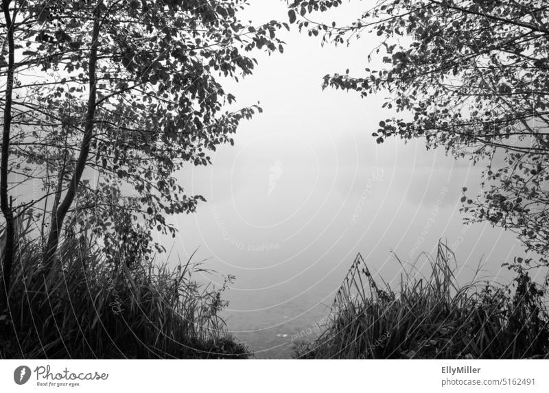Germering lake in fog. Autumn nature at the lake. Mystical landscape. Lake Germering Fog Landscape Nature Black & white photo Water Lakeside Calm Morning Dawn