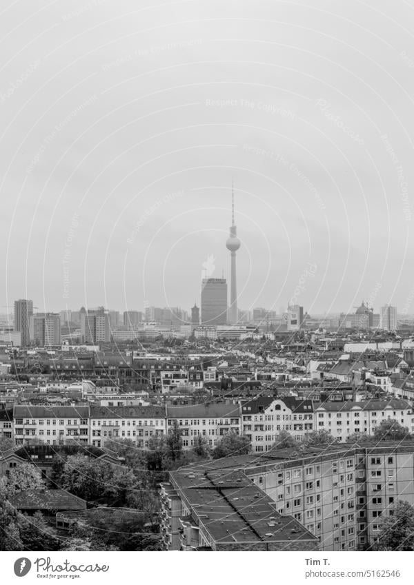 View over Prenzlauer Berg to the TV tower Television tower Berlin Winter b/w bnw Town Downtown Capital city Black & white photo Exterior shot Day Deserted