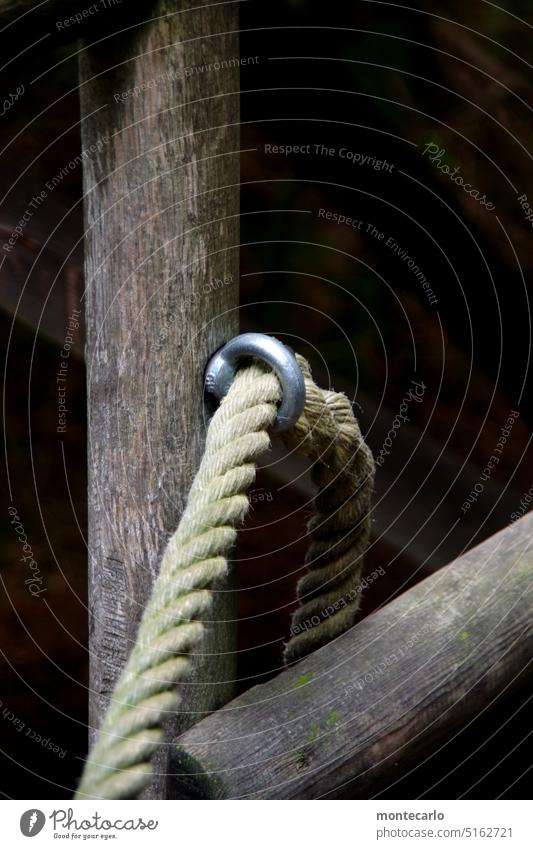 frayed | fortunately not yet adventure trail Nature Old Rope Wood rope rope Eyebolt Hold Safety Rope guide