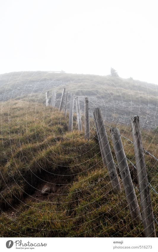 ascent Environment Nature Landscape Autumn Bad weather Fog Grass Field Hill Creepy Natural Gray Green Fence Colour photo Subdued colour Exterior shot Deserted