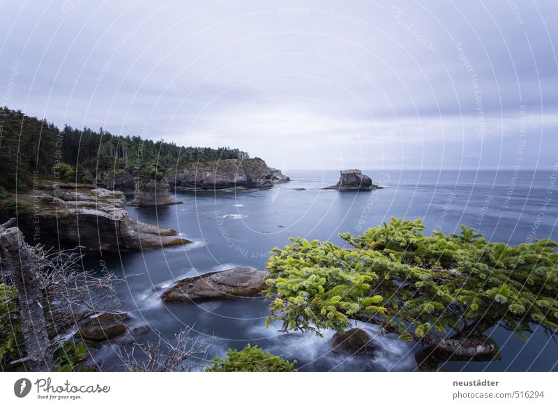 Washington Coast Vacation & Travel Ocean Waves Nature Landscape Water Rock Bay Dream Hiking Blue Adventure Discover Relaxation Idyll Surrealism Environment