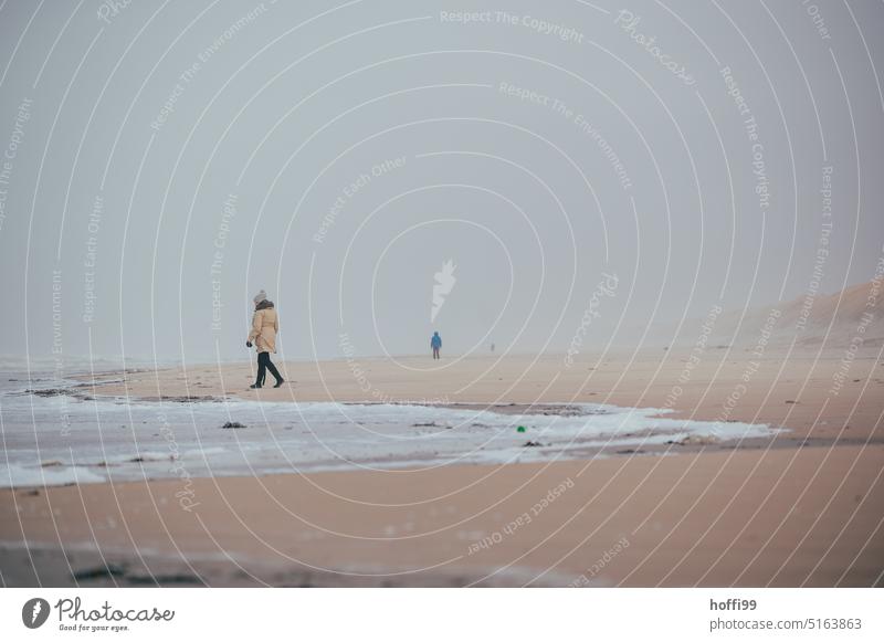 two people on the wide beach with sandstorm, fog and hazy view. Fog Surf Sandstorm Denmark Sandy beach Autumn Beach Walk on the beach Gale Drift Winter Clouds