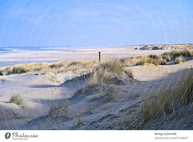 lonely, deserted beach with dunes on Spiekeroog scenery weather sunny rainy day view sunlight bay tide north sea Meditation relax coastal Dunes peaceful Germany