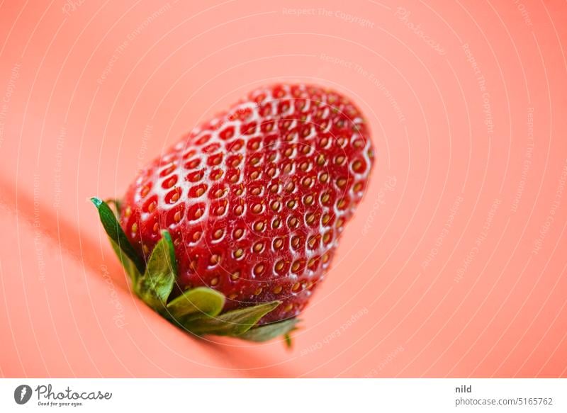 Purely plant-based - strawberry on pink surface Fresh Plant Agricultural crop Colour photo colour contrast Neutral background Strawberry Summer Fruit Fruity