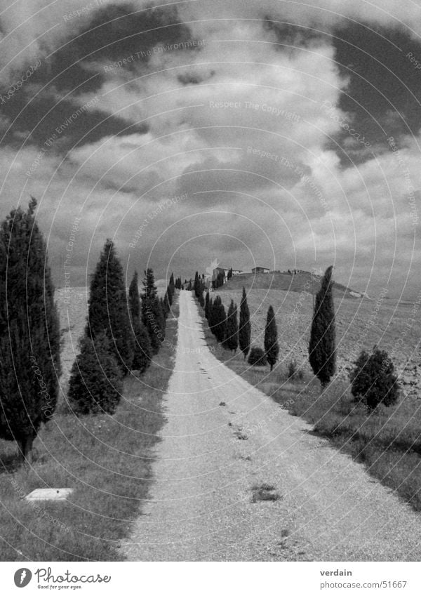 a long way Tuscany Field Cypress Clouds Black White Dusty Exterior shot Lanes & trails Street Mountain Target Far-off places