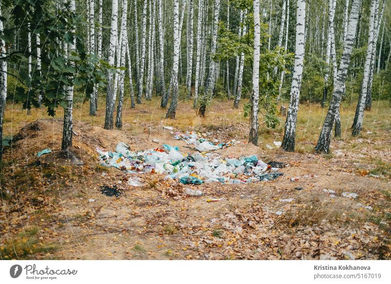 Garbage dump, trash in birch grove. Nature polluted by irresponsible people dirty environment garbage nature plastic pollution recycle recycling waste ecology