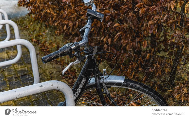 A black bicycle was surprised by the rain, it leans against gray bicycle  stand. In focus are the handlebars and the upper part of the front wheel.  On the left of the