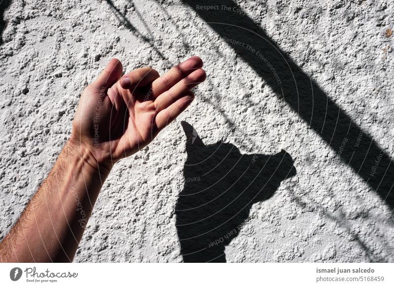 https://www.photocase.com/photos/5168459-hand-making-dog-shadows-on-the-wite-wall-white-photocase-stock-photo-large.jpeg