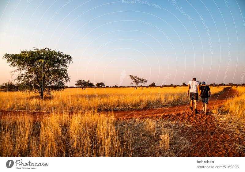 heartland namibia Africa Namibia Far-off places Wanderlust Sunlight Sunset