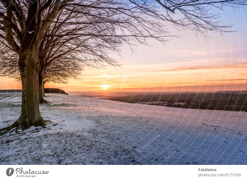 On the horizon the sun rises and illuminates the wintry landscape with soft light silent tranquillity Meadow Freeze Environment Winter mood Exterior shot