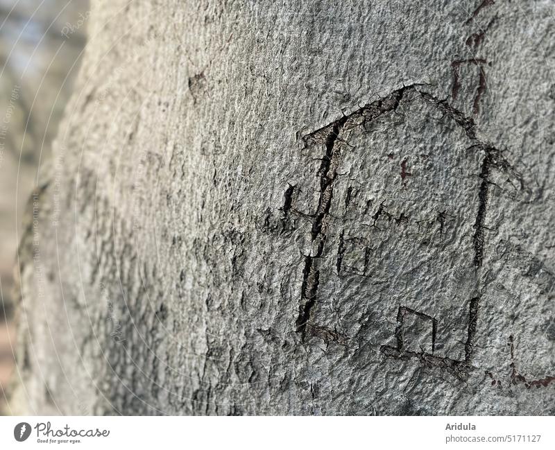 "Tree house" bark trunk Drawing scratched Children's drawing House (Residential Structure) notch Carve Nature out at home Forest Playing Tree trunk Wood