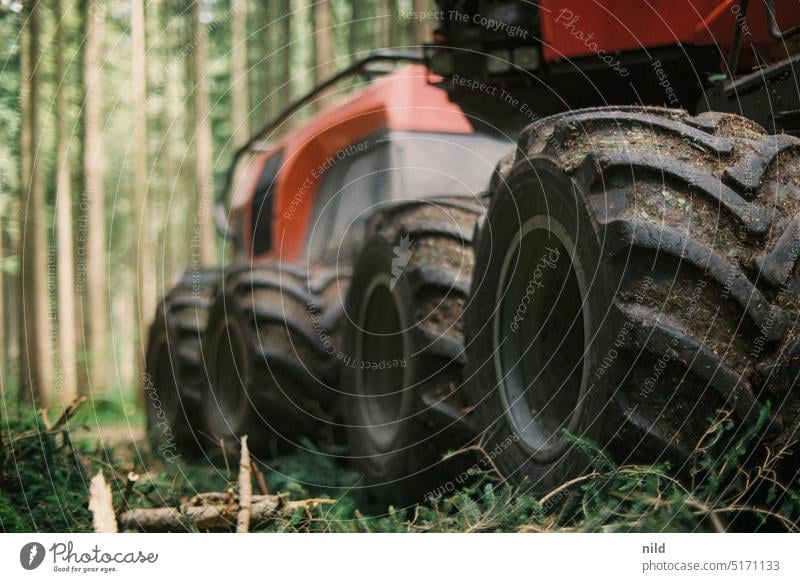 Heavy machine - Around Munich trees Forest Contrast Exterior shot Nature Environment Analogue photo Spruce forest Monoculture Landscape Forestry