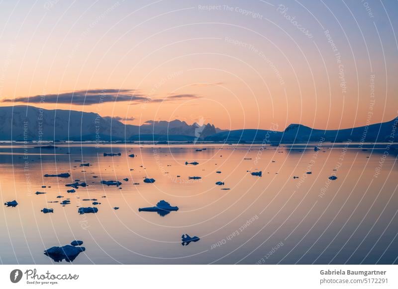 Ice lagoon at sunset, Errera Channel, Antarctica Iceberg Nature Glacier coast Water Environment Landscape Exterior shot Climate Vacation & Travel Ocean