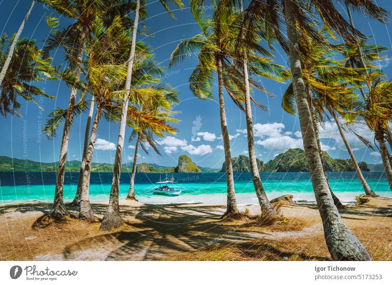 Exploring Palawan most famous touristic spots. Palm trees and lonely island hopping tour boat on Ipil beach of tropical Pinagbuyutan, Philippines nature