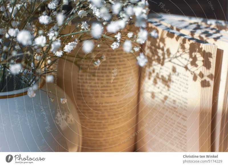 The baby's breath in the vase casts beautiful shadows on the open book pages in the sunshine Book Baby's-breath Shadow Shadow play Vase Shaft of light White