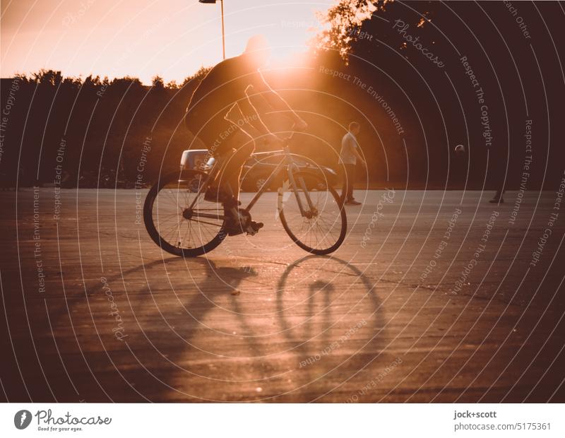 Art cycling in the evening sun, riding backwards all the time Bicycle Cycling Artistic cycling Sports Lifestyle Outdoors Back-light Man young adult