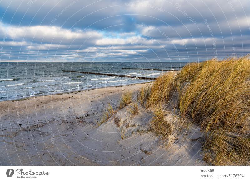 Dune and groynes on the beach of the Baltic Sea in Fischland-Darß coast fischland-darß Baltic coast Ocean Beach Ahrenshoop Break water duene Waves Landscape