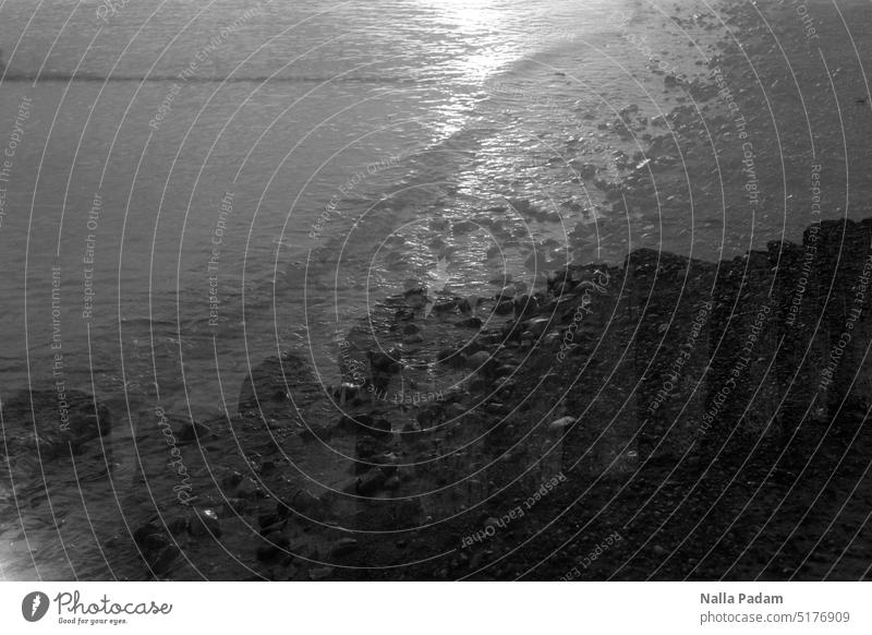 Morning wave and breakwater Analog Analogue photo black-and-white Black & white photo Ocean Water reflection Light Wood Break water Double exposure diagonal