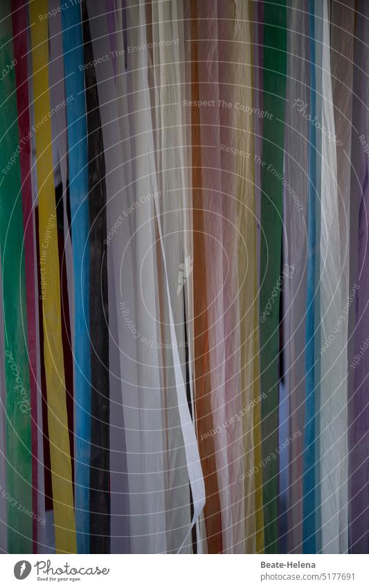 Spanish curtain from colorful plastic ribbons 1 door Drape demarcation Curtain Decoration Interior shot Structures and shapes Mysterious Private sphere