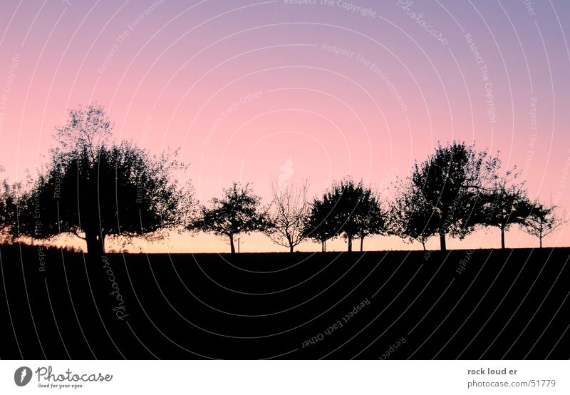 Landscape Counterfiles [Trees] Black Dark Red Yellow Sunset Dusk Blue Contrast Detail Nature