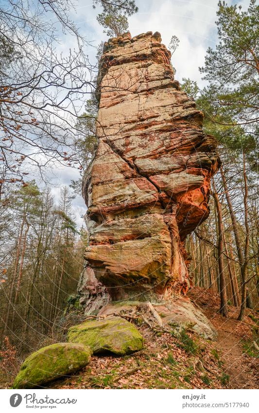 Sandstone rocks in the Palatinate Forest Buhlstein pillar Palatinate forest Rock sandstone rocks Moss Hiking Hiking trails Trip erosional landform Erosion