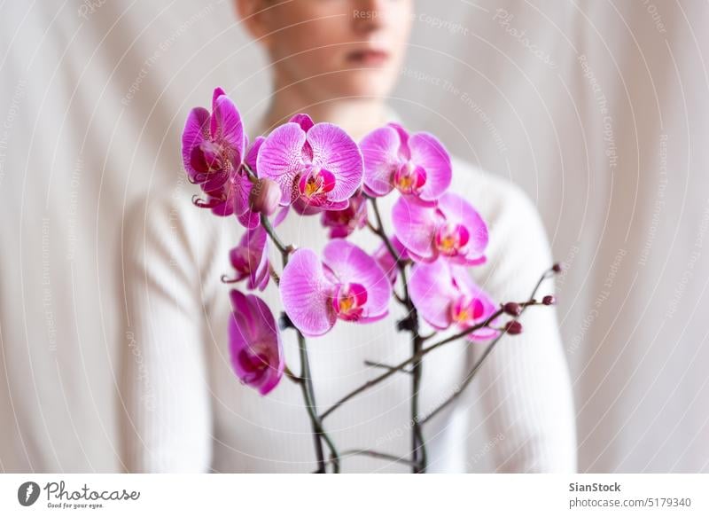 Woman holding pink orchid girl Orchidaceae background flower woman white beautiful pot lips young isolated orchids plant floral beauty nature cute female face